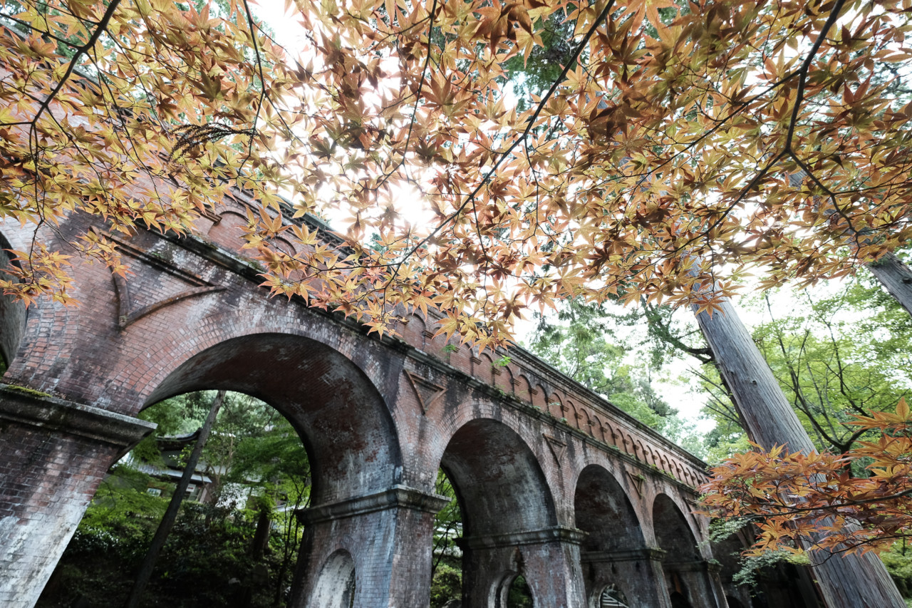 京都南禅寺の紅葉