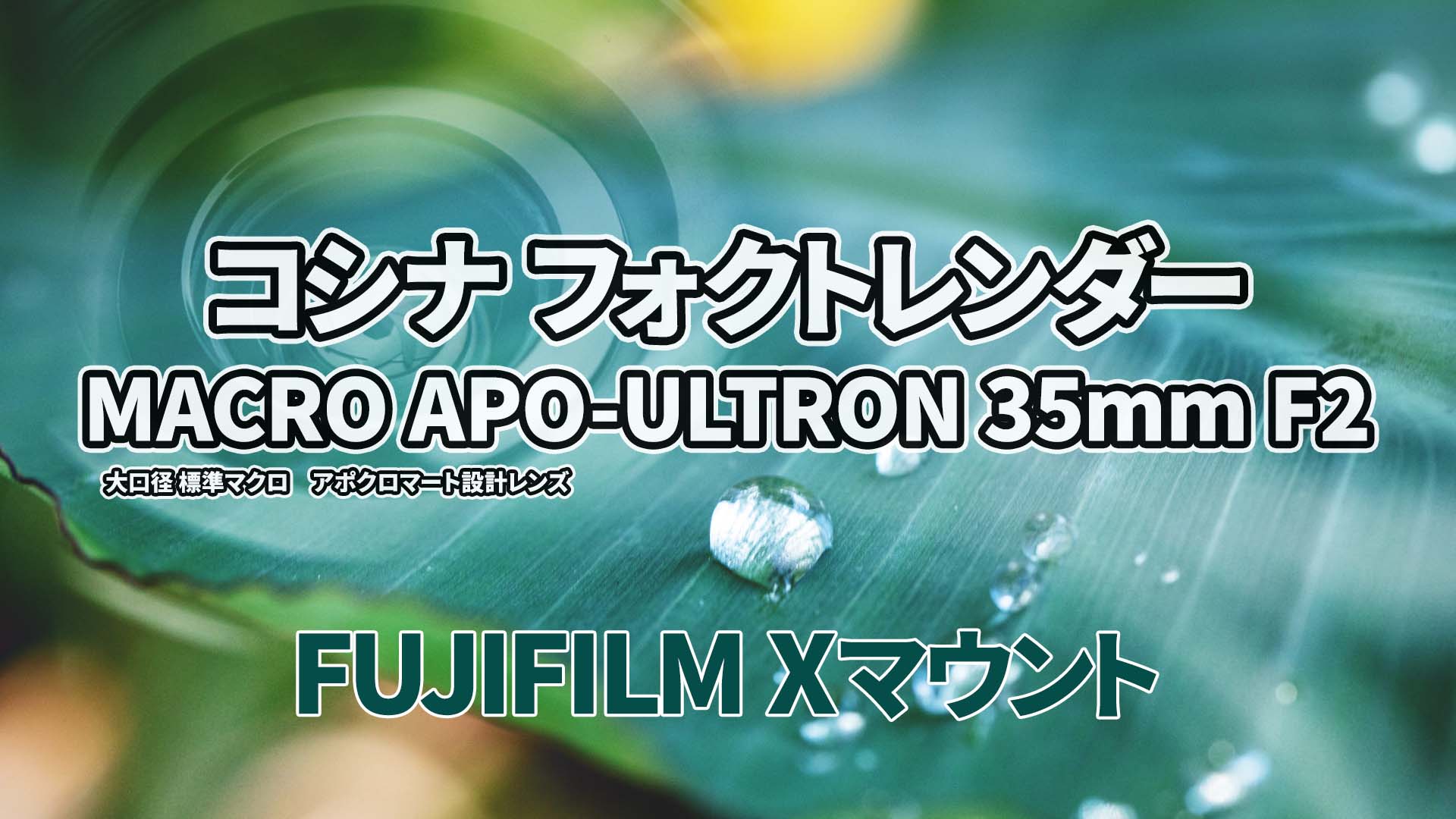 高品質の激安 コシナ フォクトレンダー MACRO APO-ULTORN 35mm F2 Xマウント用